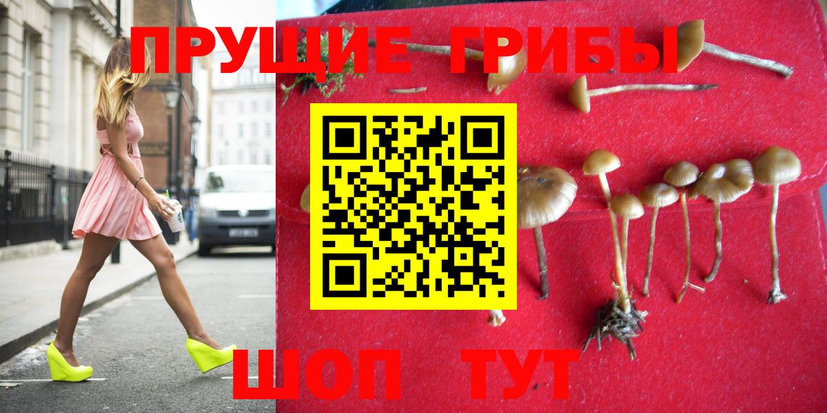 Галлюциногенные грибы мухоморы Мыски