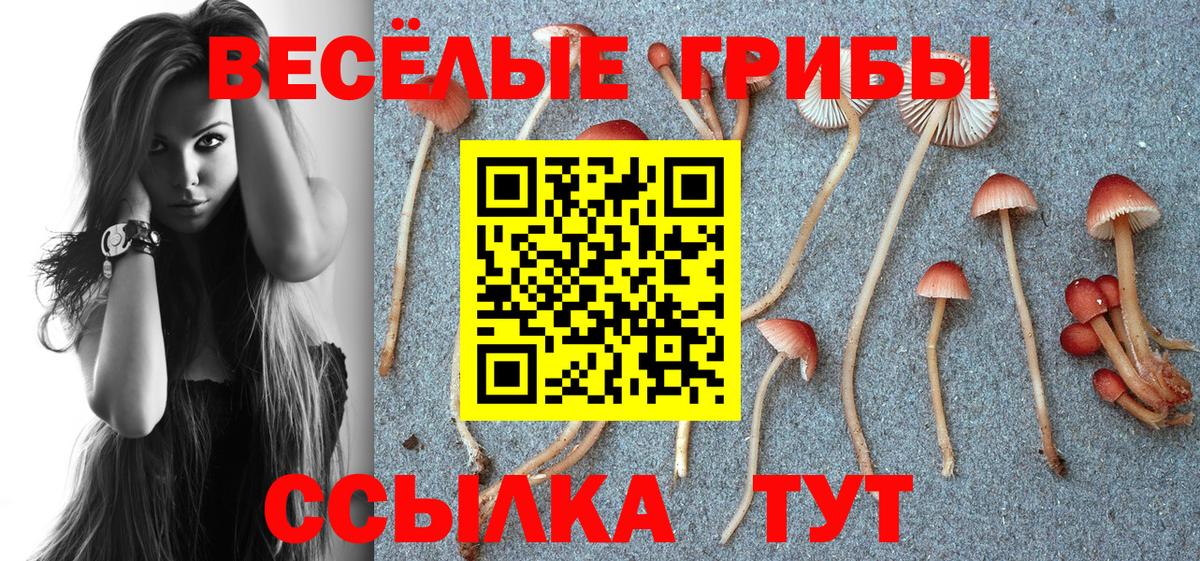 Псилоцибиновые грибы Psilocybine cubensis  Вход с VPN  Мыски  Псилоцибиновые грибы мухоморы 